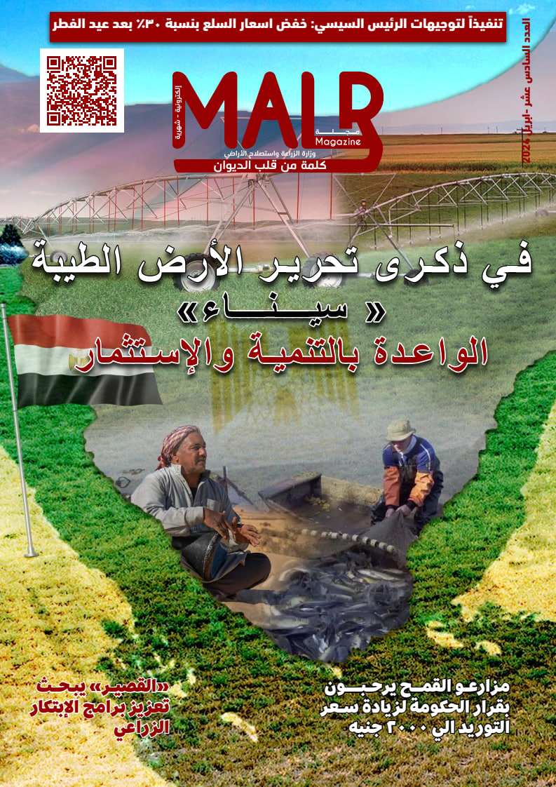 MALR مجلة - Issue 16 (April 2024)